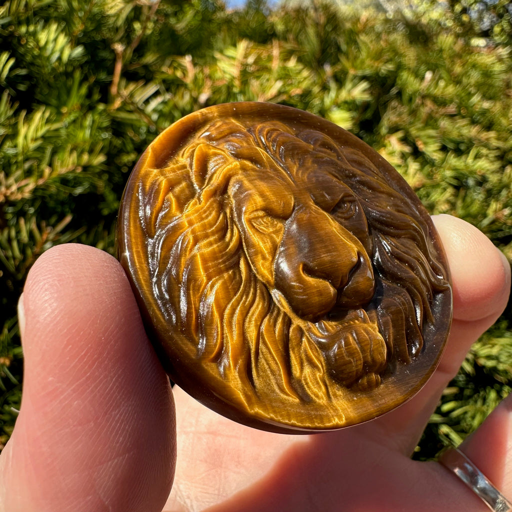 Tiger's Eye Lion Medallion