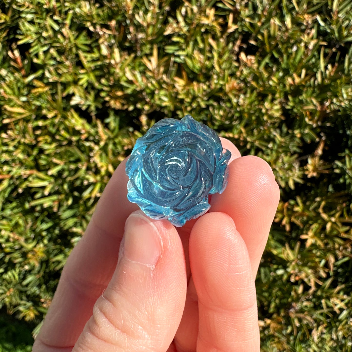 Aquamarine Rose