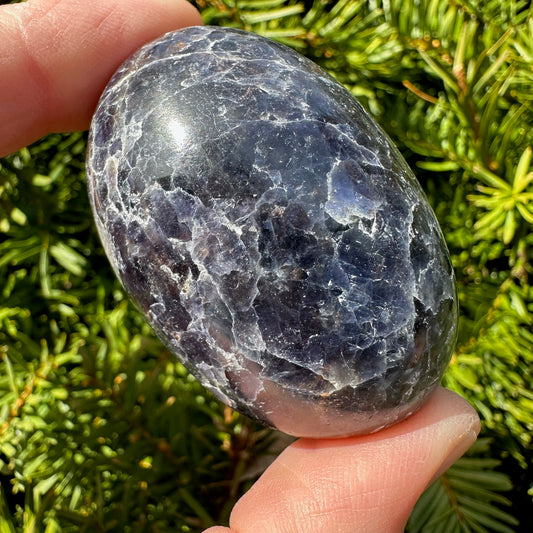 Iolite Shiva