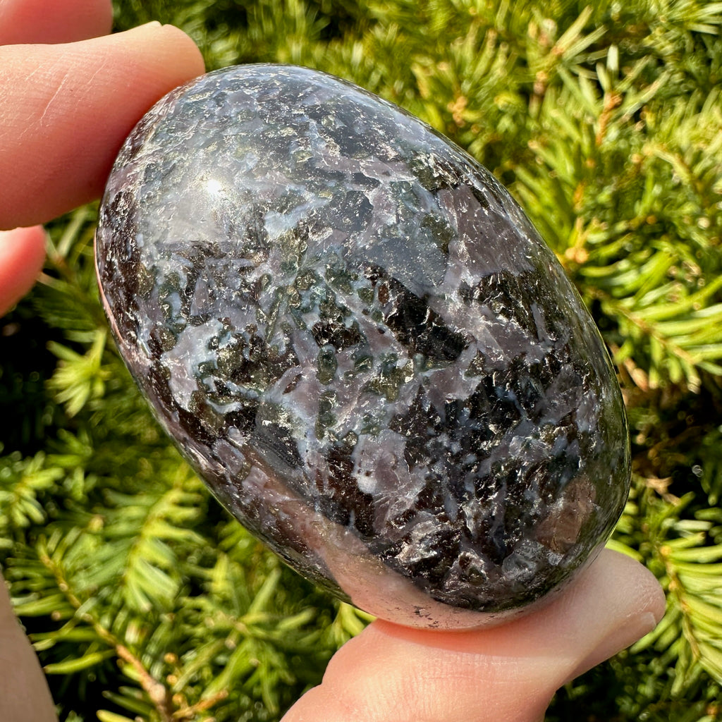 Indigo Gabbro (Merlinite) Shegg-va