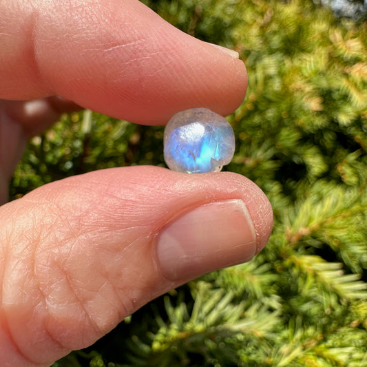 Rainbow Moonstone Rose