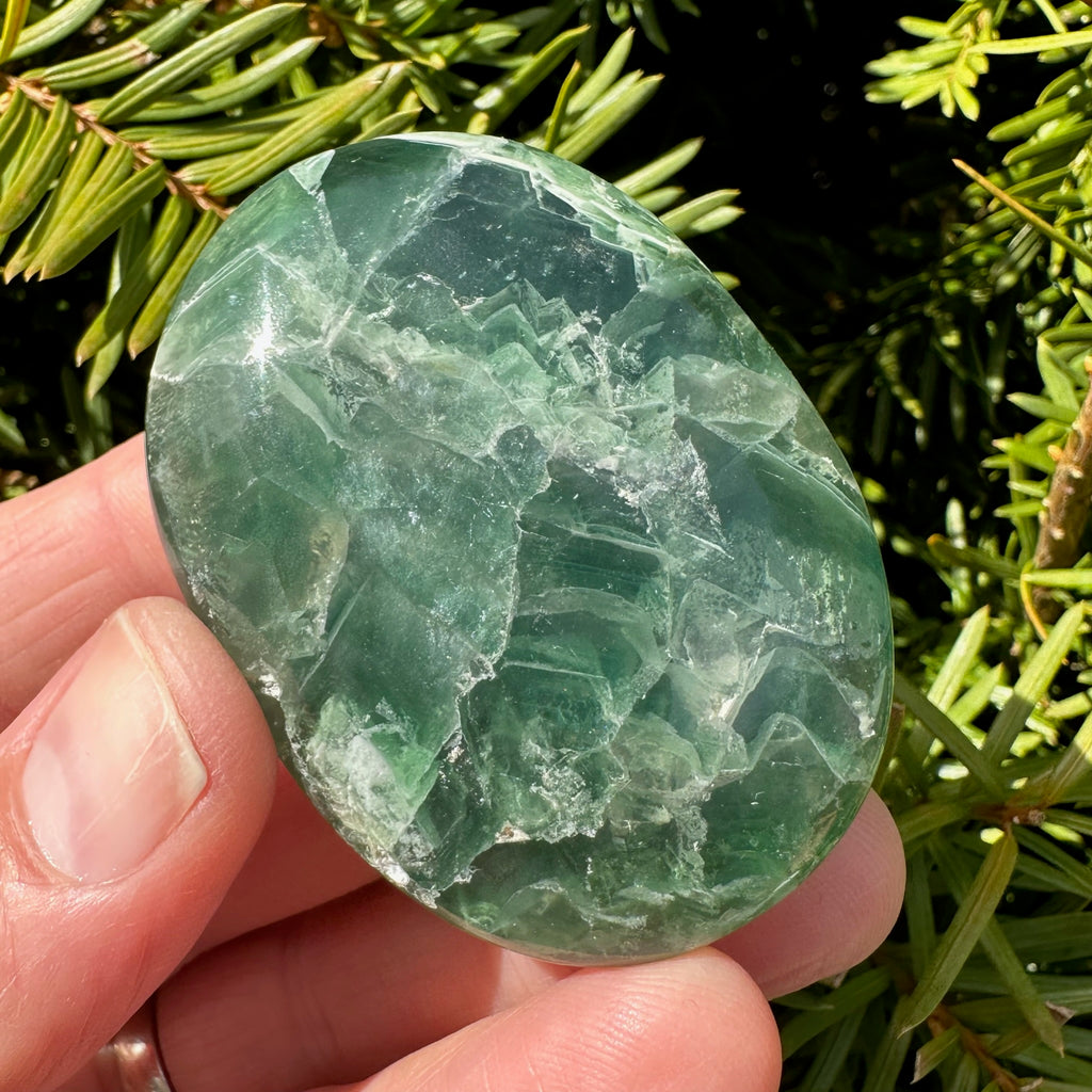 Rainbow Fluorite Palm Stone