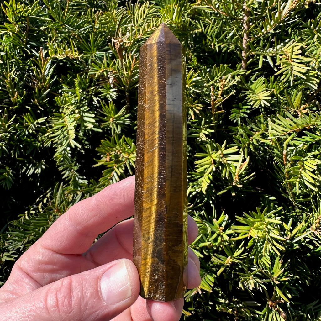 Tiger's Eye Tower