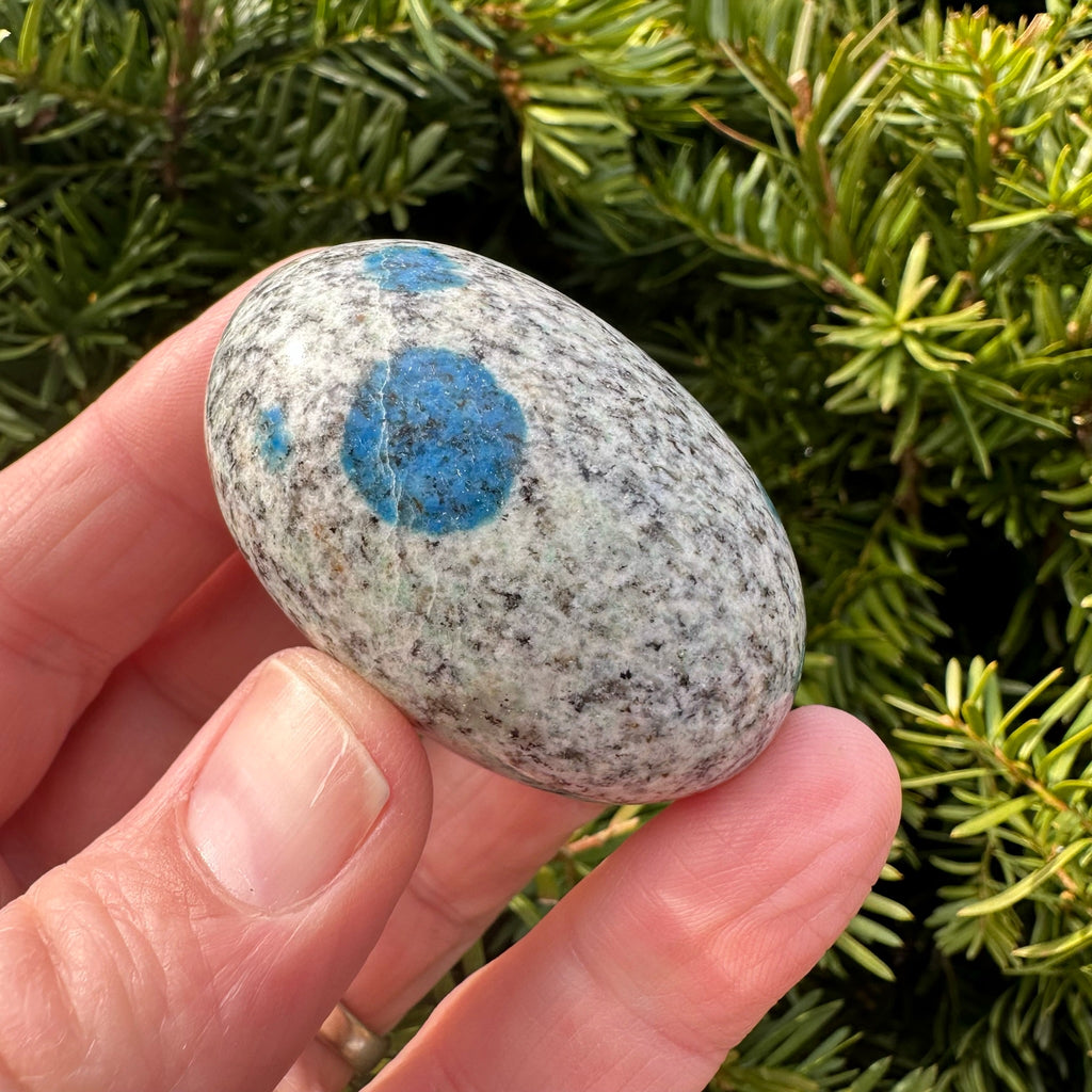 K2 Jasper Shegg-va