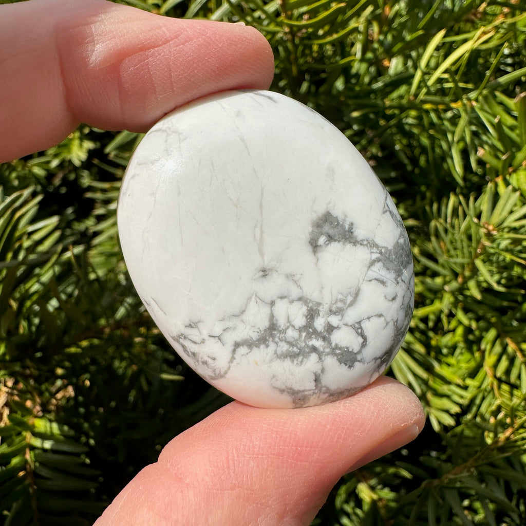 Howlite Palm Stone