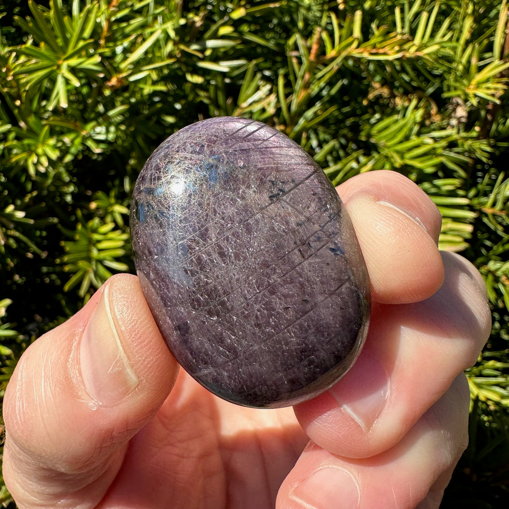 Ruby Palm Stone