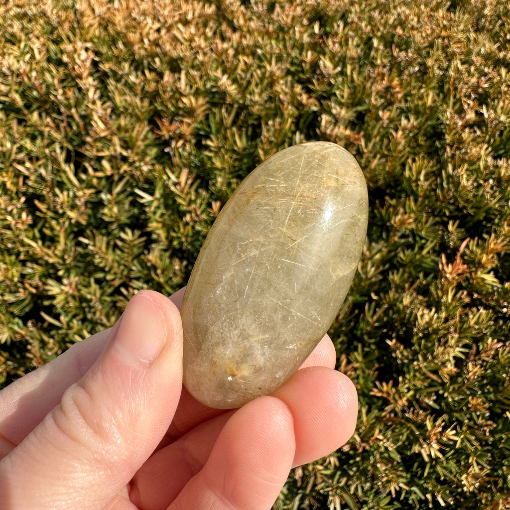 Gold Rutile Quartz Shiva