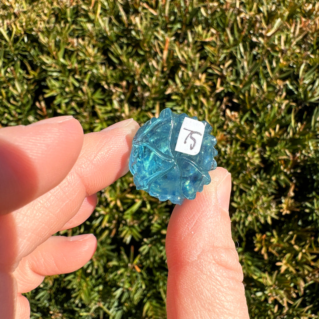 Aquamarine Rose