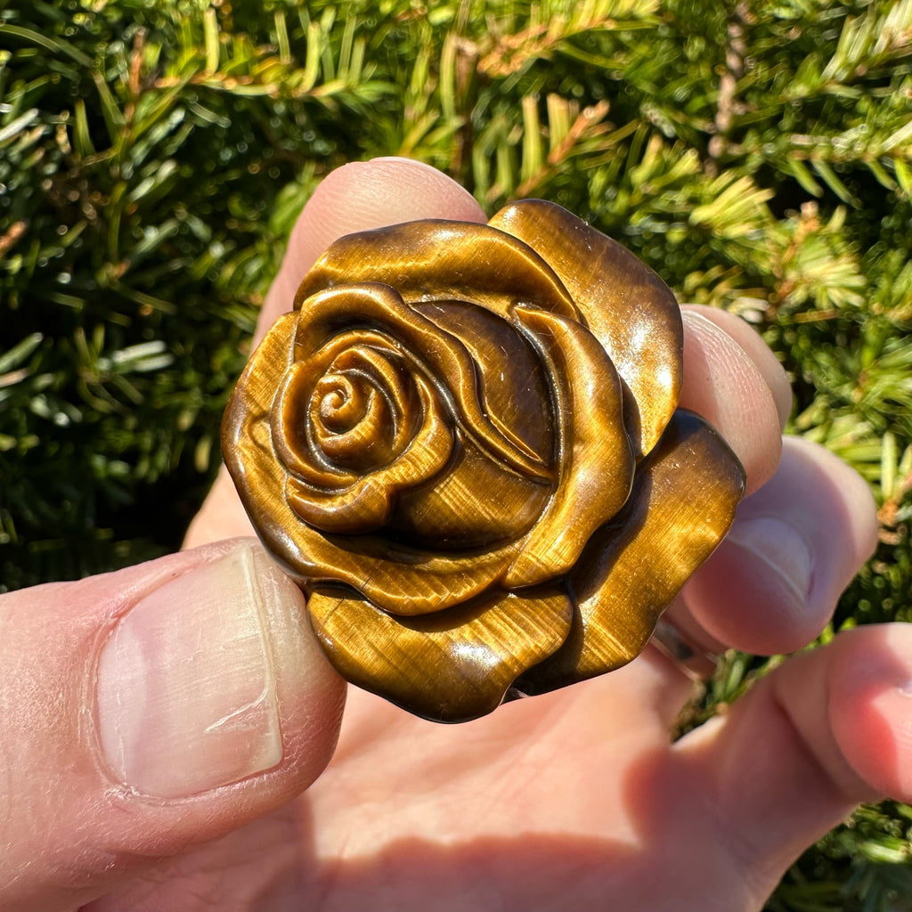 Tiger's Eye Rose