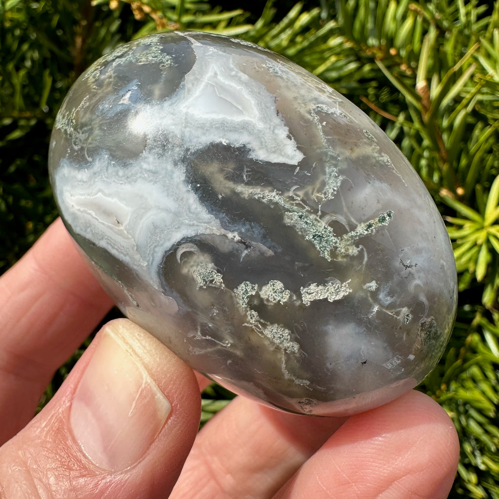 Moss Agate Shegg-va