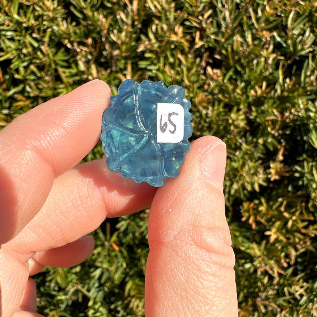 Aquamarine Rose