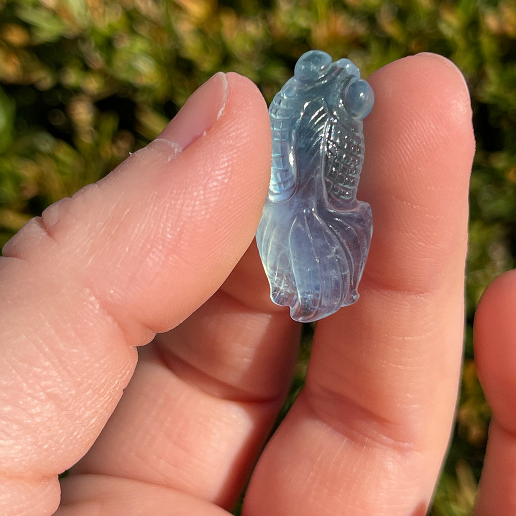 Aquamarine Fish
