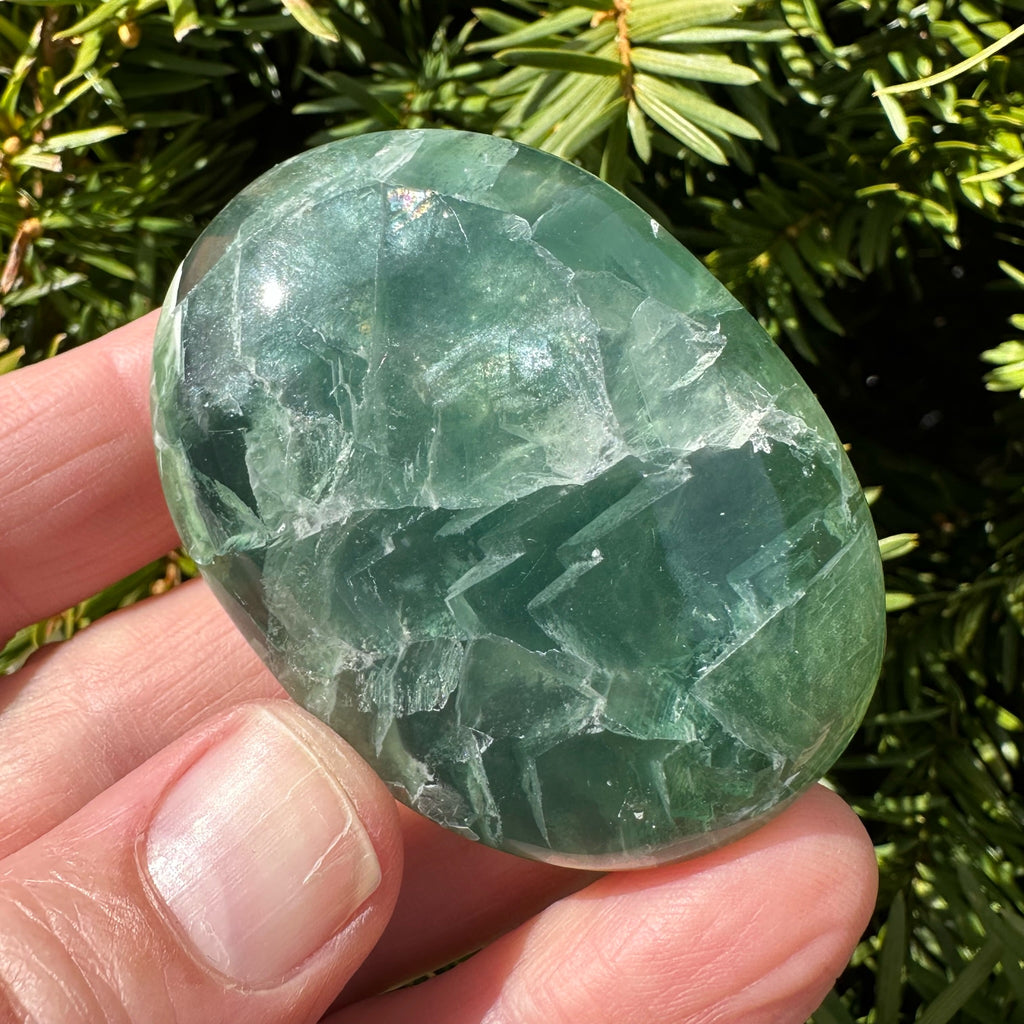 Rainbow Fluorite Palm Stone