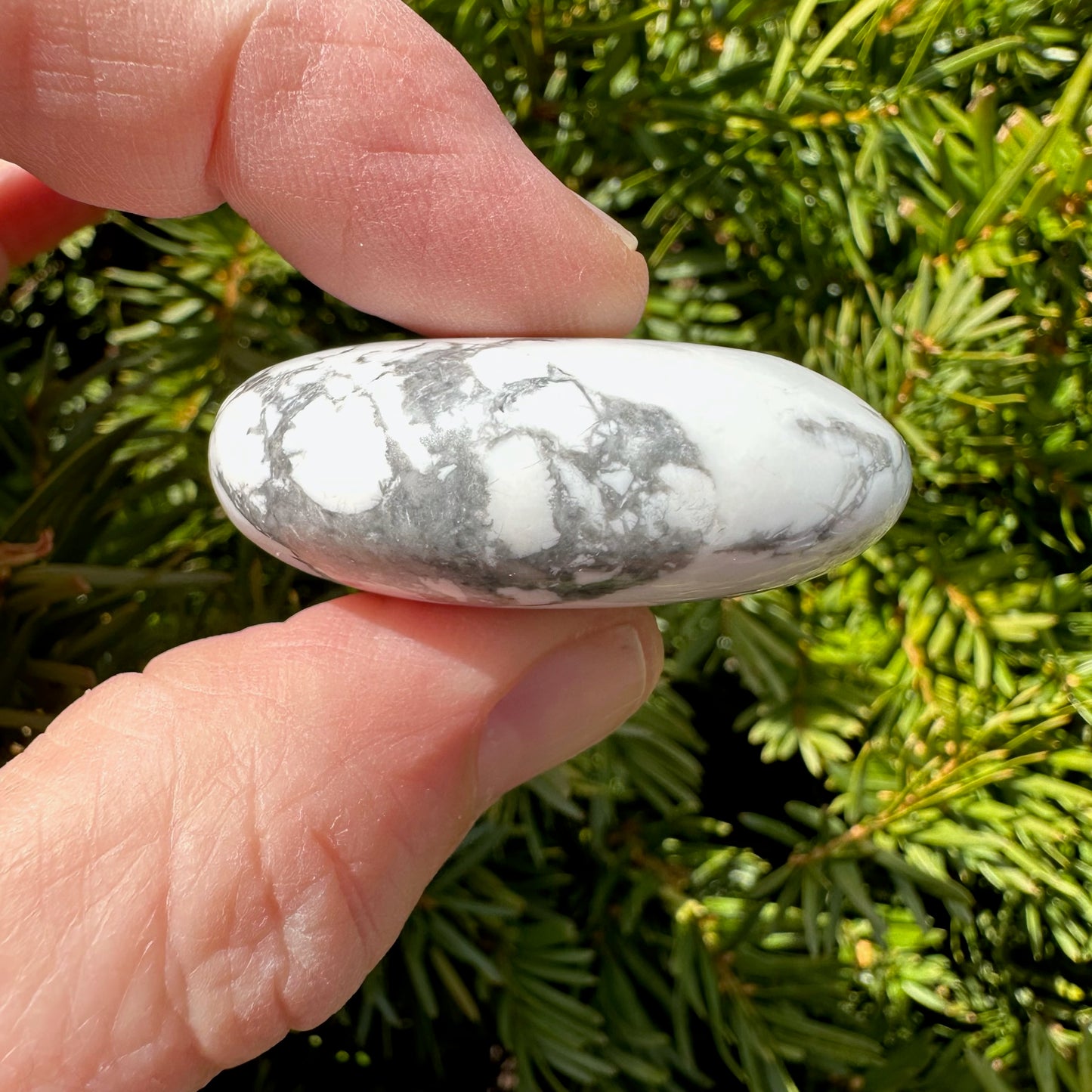 Howlite Palm Stone